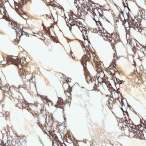 Calacatta Viola Book Match